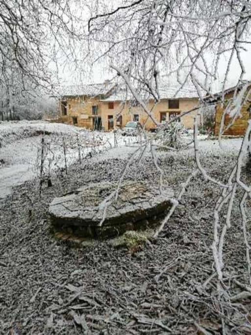 Domaine Moulin De Quincenat Champagnat (Saone-et-Loire) Exterior foto