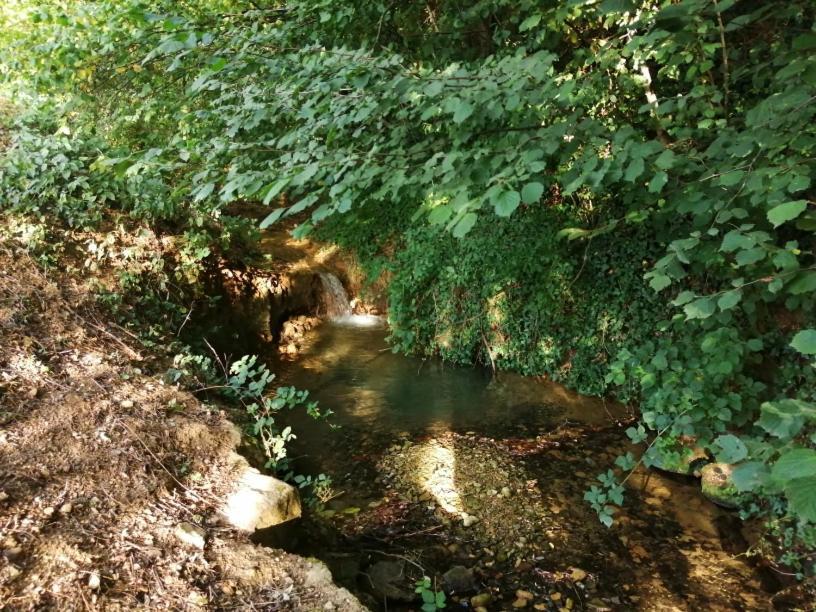 Domaine Moulin De Quincenat Champagnat (Saone-et-Loire) Exterior foto